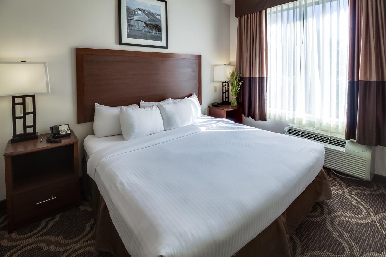 Ashmore Inn And Suites Lubbock Ngoại thất bức ảnh