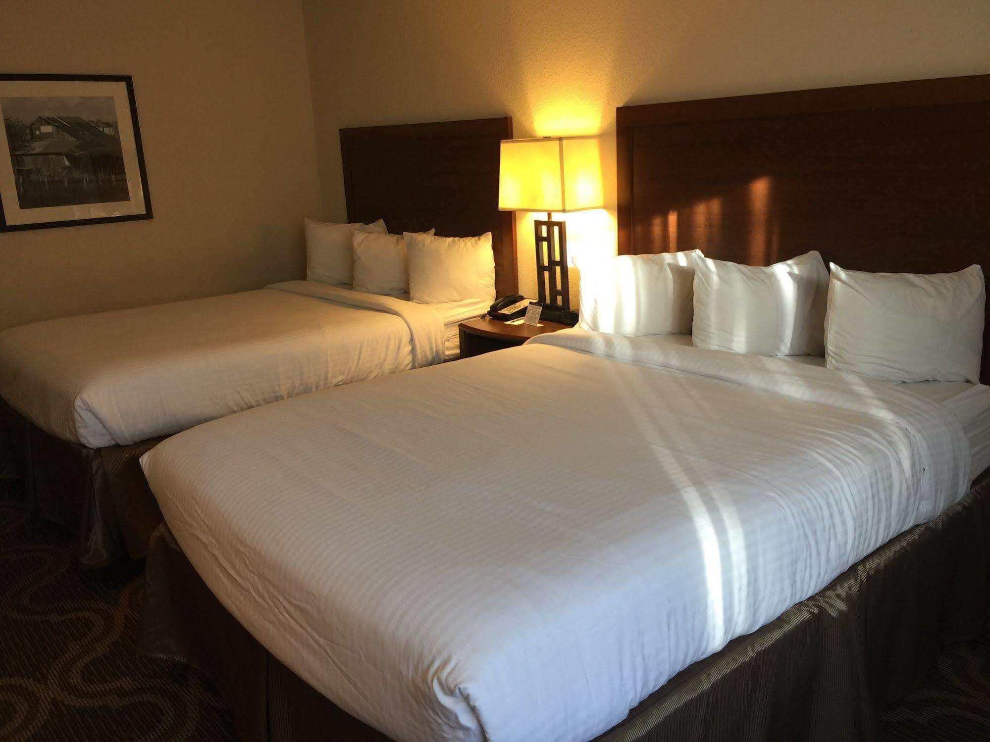 Ashmore Inn And Suites Lubbock Ngoại thất bức ảnh